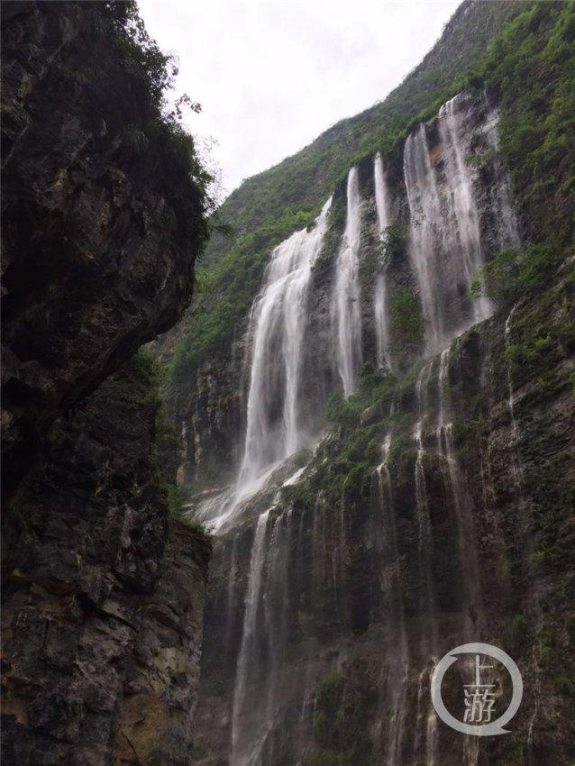 动物帮帮忙保卫家园